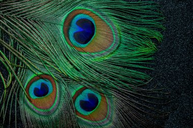 Siyah bir arka planda bir tavus kuşu tüyünün fotoğrafını çek.