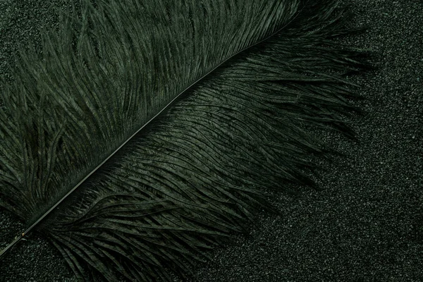 深色石头背景纹理的抽象黑色羽毛 — 图库照片