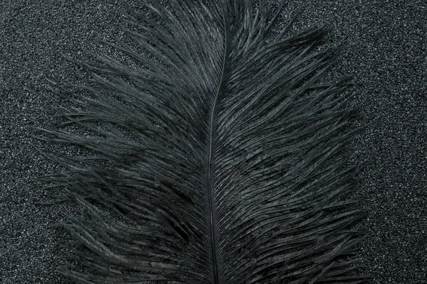 黒い石の背景の質感に抽象的な黒い羽 — ストック写真