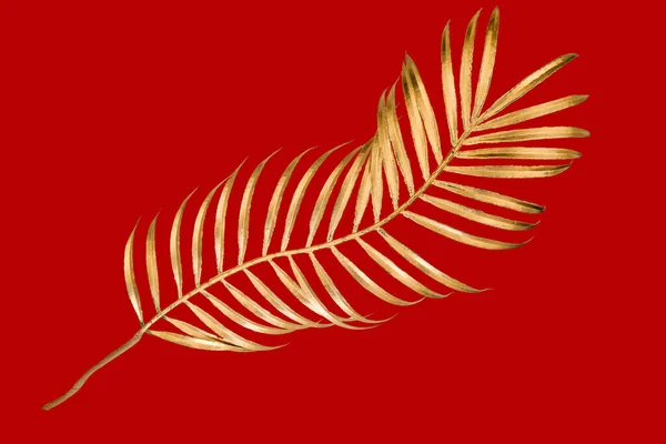 Altın Palmiye Kırmızı Arka Planda Dekoratif Çiçek Bırakır — Stok fotoğraf