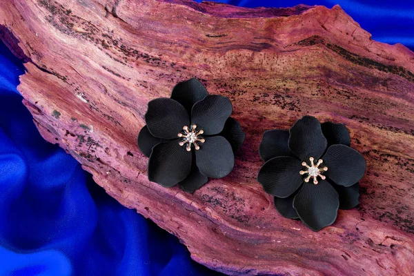 Beautiful Stone Earrings Wooden Background — Stock Photo, Image