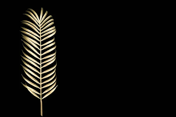 Złota Palma Pozostawić Kwiat Dekoracyjny Czarnym Tle — Zdjęcie stockowe