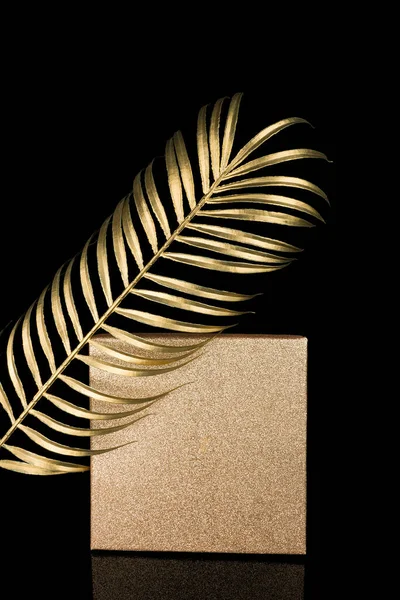 Golden Palm Lämna Dekorativa Blomma Svart Bakgrund — Stockfoto