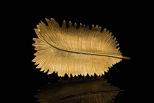 Gouden Palm Laat Decoratieve Bloem Een Zwarte Achtergrond — Stockfoto