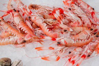 Yerel Balık Pazarı taze mevsimlik balık ve deniz ürünleri satıyor.