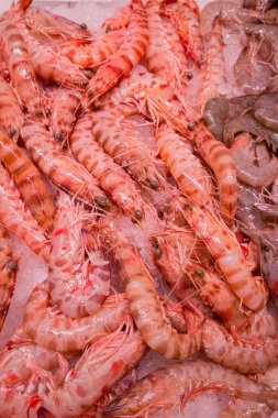 taze pişmiş karides satışı bir pazar için arka plan