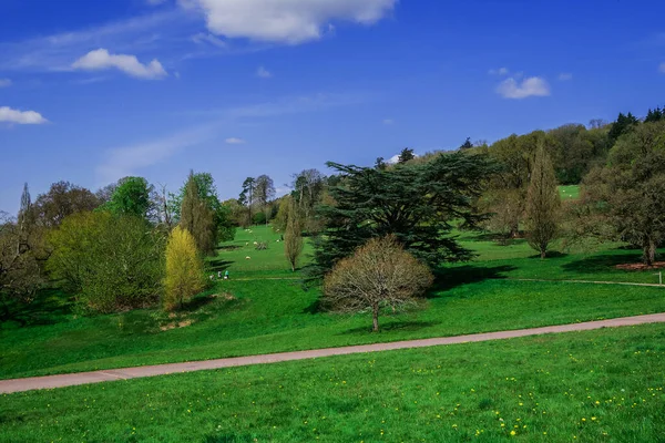  İlkbaharda güzel İngiliz kır manzarası