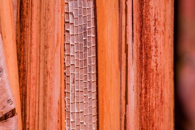 kahverengi muz ağacı dokusu ve arkaplanı