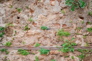 Eski ve yıpranmış sarı desenli duvar arkaplanı