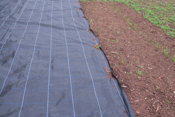 photo of  Anti weed fleece in the garden