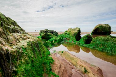 Sandstone cliffs of Exmouth beach,England.UK.