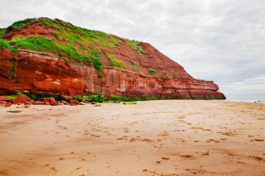 Sandstone cliffs of Exmouth beach,England.UK.