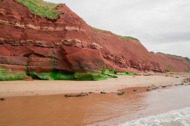 Sandstone cliffs of Exmouth beach,England.UK.