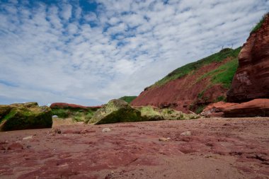 Sandstone cliffs of Exmouth beach,England.UK.