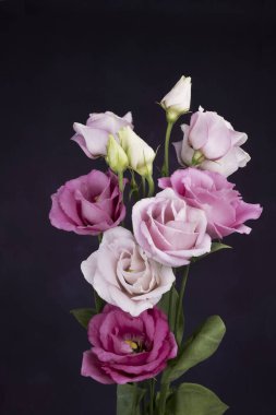 Koyu arkaplanda parlak ve renkli bir buket çiçek.