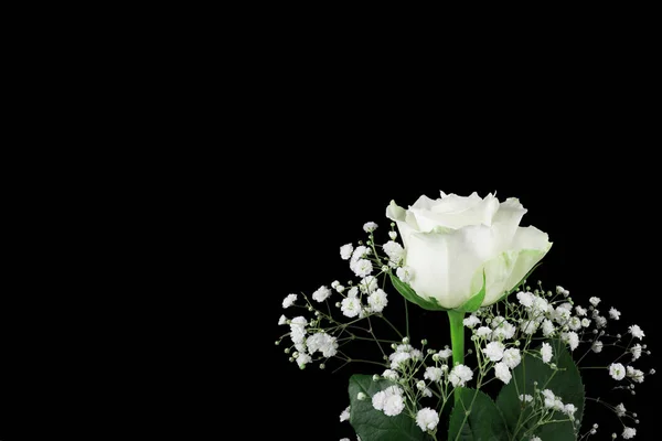 Egy Csokor Fényes Színes Virágok Sötét Háttér — Stock Fotó