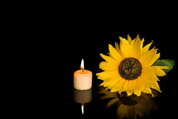 Yellow red sunflowers candles on background