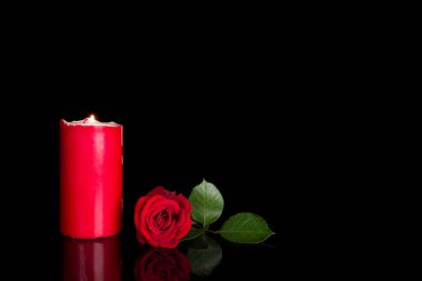 siyah zemin üzerine kırmızı gül çiçekler 