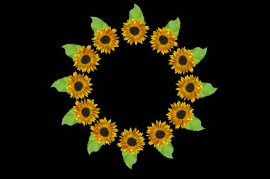 Arka planda sarı kırmızı ayçiçekleri izole edilmiş