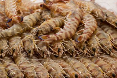 Farklı taze balıkların olduğu balık pazarı. 