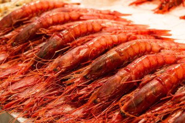 Farklı taze balıkların olduğu balık pazarı. 