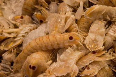 Farklı taze balıkların olduğu balık pazarı. 