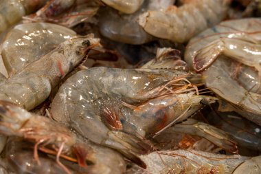 Farklı taze balıkların olduğu balık pazarı. 