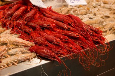 Farklı taze balıkların olduğu balık pazarı. 