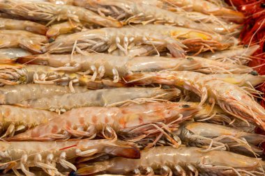 Farklı taze balıkların olduğu balık pazarı. 