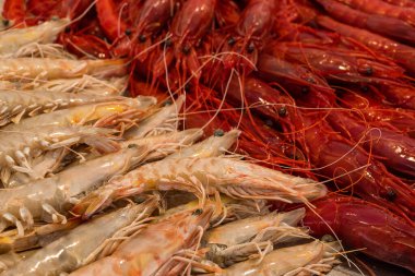 Farklı taze balıkların olduğu balık pazarı. 