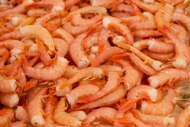 Farklı taze balıkların olduğu balık pazarı. 