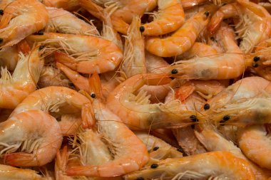 Farklı taze balıkların olduğu balık pazarı. 