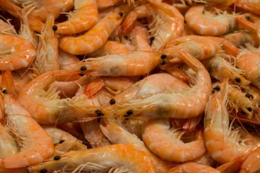 Farklı taze balıkların olduğu balık pazarı. 