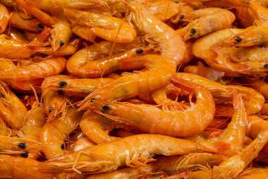 Farklı taze balıkların olduğu balık pazarı. 