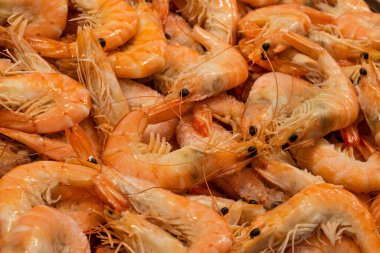 Farklı taze balıkların olduğu balık pazarı. 