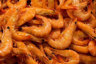 Farklı taze balıkların olduğu balık pazarı. 