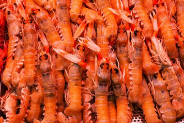 Farklı taze balıkların olduğu balık pazarı. 