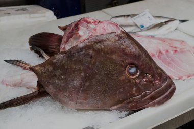 Farklı taze balıkların olduğu balık pazarı. 