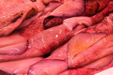 Farklı taze balıkların olduğu balık pazarı. 