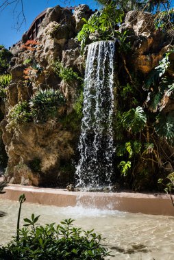  Bahçede güzel bahar çiçekleri