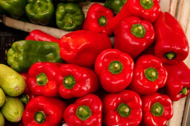  Bahçede güzel bahar çiçekleri