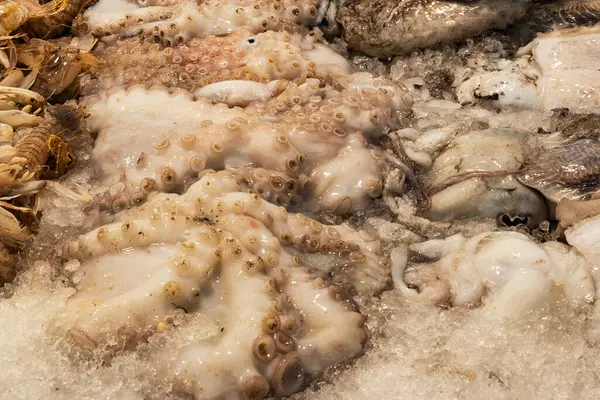 Farklı taze balıkların olduğu balık pazarı. 