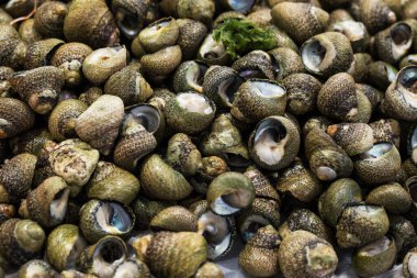 Farklı taze balıkların olduğu balık pazarı. 