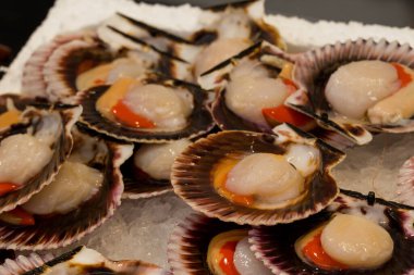 Farklı taze balıkların olduğu balık pazarı. 