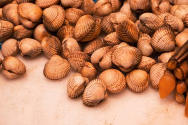 Farklı taze balıkların olduğu balık pazarı. 