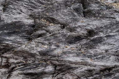 Küçük deniz taşı arka planı. Çok renkli soyut 