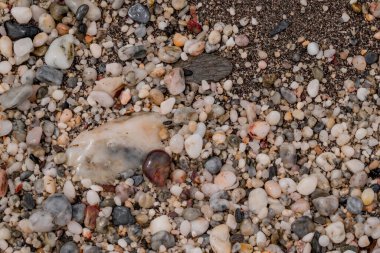 Küçük deniz taşı arka planı. Çok renkli soyut 