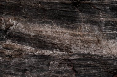 Küçük deniz taşı arka planı. Çok renkli soyut 