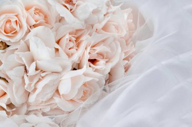  Bahçede bitki yetiştirme fotoğrafı. 