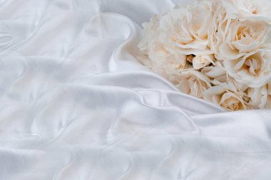  Bahçede bitki yetiştirme fotoğrafı. 